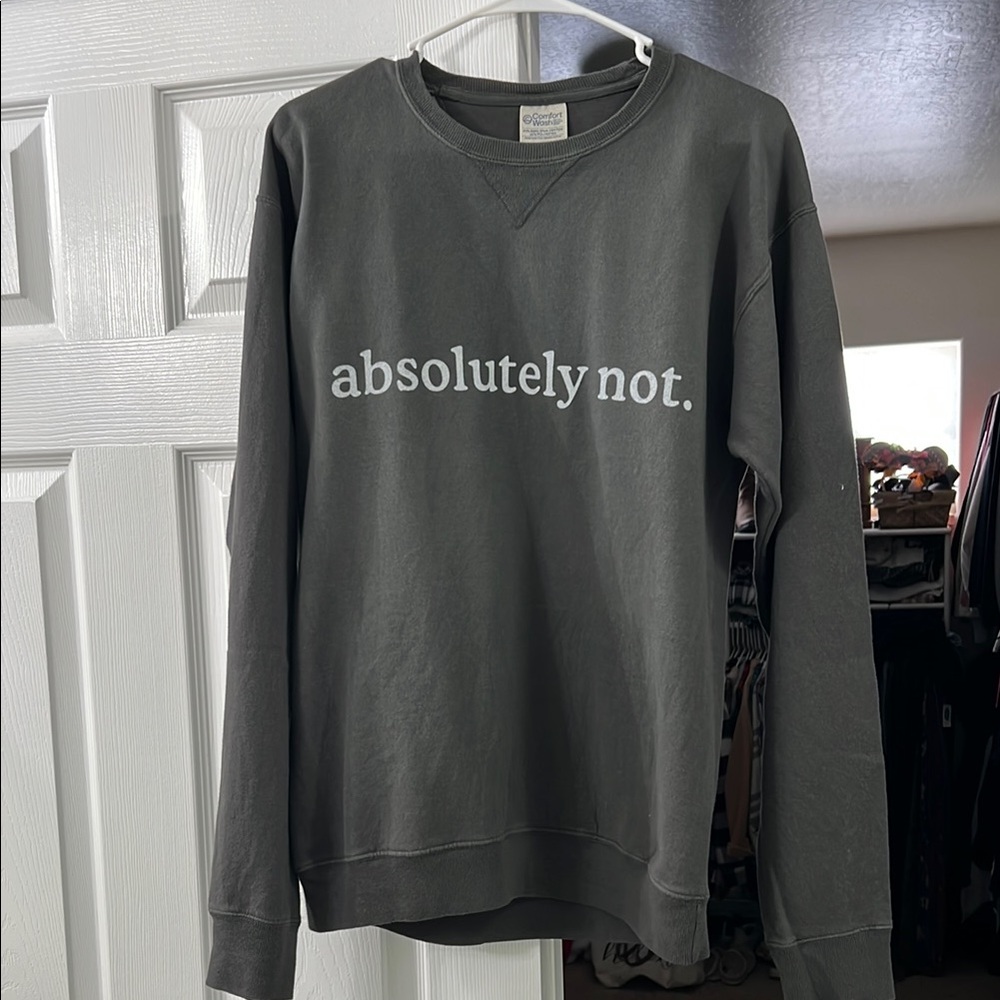 Absolutely Not Gray Sweater